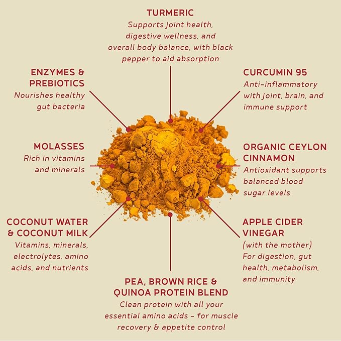 BBfL Plant-Based Protein Shake – 21g Vegan Protein Turmeric + Curcumin 95 + Ceylon Cinnamon Prebiotics Digestive Enzymes Supports Inflammatory Response – All-in-One Shake (10 Servings Turmeric Cr