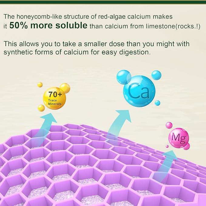 Bundle - Vegan Iron + Algae Calcium