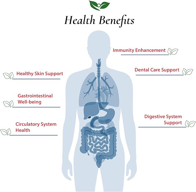 Lactobacillus Reuteri Probiotic Powder 75 Billion cfu's | Made in USA | No Additives | Direct from Manufacturer | No Third-Party Storage | Digestive &amp Immune Support | L. Reuteri | 30 Grams (1.05