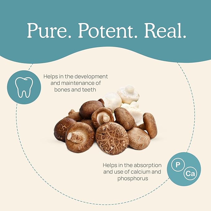 Real Mushrooms Vitamin D2 from Shiitake &amp Agaricus – Vegan Mushroom-Based D Supplement – Vitamins for Overall Wellness Support– Organic Non-GMO 1000 IU – 120 Count Functional Mushroom