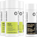 OxyEnergy Silymarin Milk Thistle 300mg Pack of 3 &amp Shilajit Capsules 15000mg