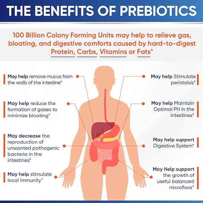 Wholesome Wellness Organic Raw Probiotics 100 Billion CFU Dr Formulated for Women and Men Complete Adult Supplement with Prebiotics and Digestive Enzymes 30 Capsules Shelf Stable