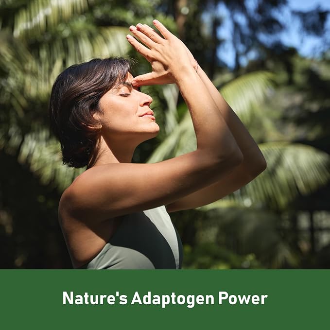 GlowEver KSM-66 Ashwagandha Supplements with L-Theanine Moringa Organic Mushrooms Complex Ginseng Ginkgo Biloba - Mood &amp Energy Support Cortisol Manager Immune Support 60 Vegan Capsules