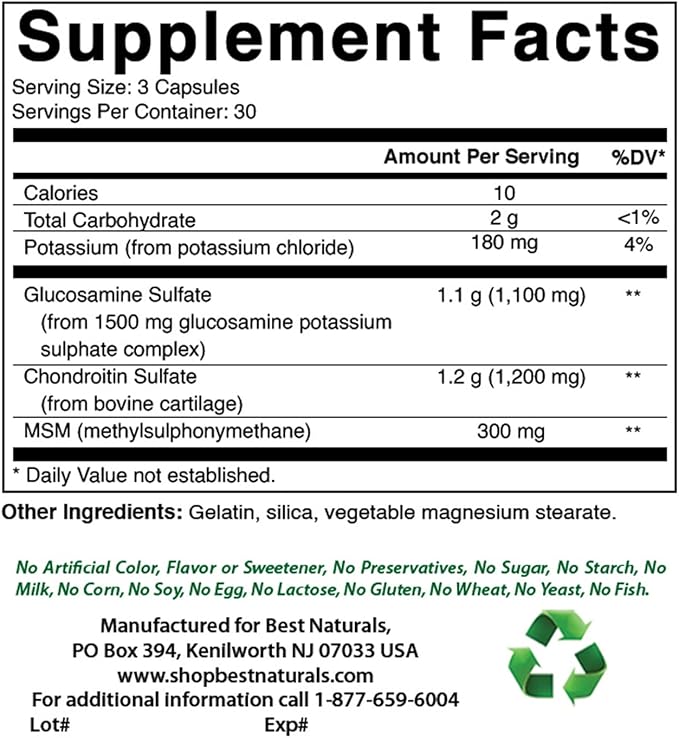 Best Naturals Glucosamine Chondroitin MSM Supplements 2600 mg per Serving 90 Capsules (90 Count (Pack of 3))