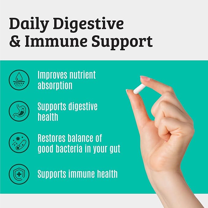 Prebiotics and Probiotics: Lactobacillus Gasseri Lactobacillus Rhamnosus Plantarum Casei Bifidobacterium longum lactis infantis. Probiotic Prebiotic Pre and Probiotics for Digestive Health.