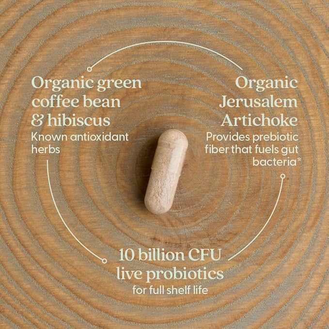New Chapter Daily Dual Biotic Probiotic + Prebiotic for Digestion &amp Microbiome Health 100% Vegan Soy Free Non-GMO 60 Count (2 Month Supply)