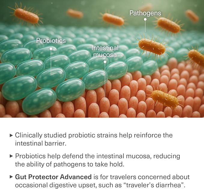 Travel Probiotics for Digestive Health Immune Support &amp Occasional Traveler’s Diarrhea | Probiotics for Gut Health | Travel Essentials Supplement | Gut Protector | 30 Vegan Caps