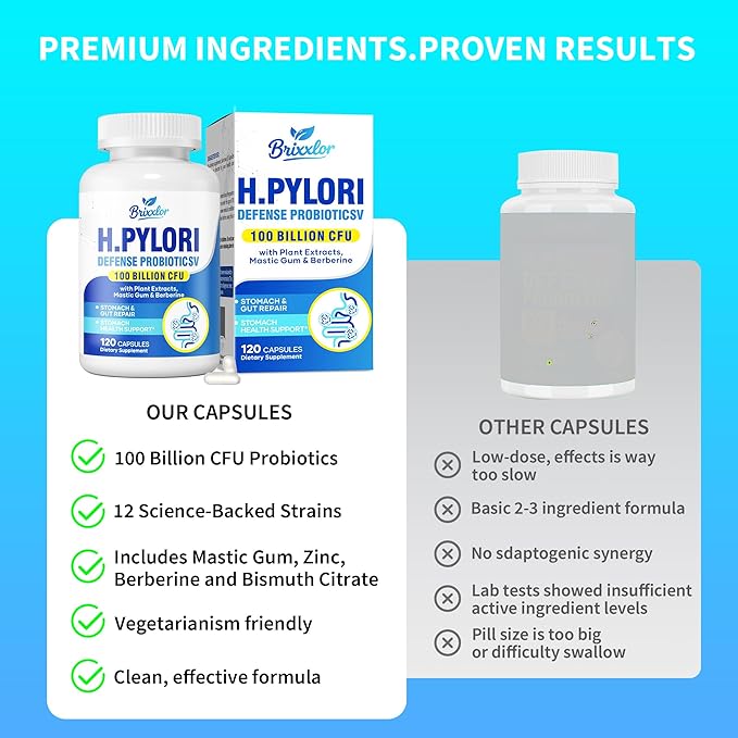 H Pylori Defense Supplements: Stomach Comfort Probiotics 100 Billion CFU with Lactobacillus Reuteri Mastic Gum Berberine for Digestive &amp Gut Health Vegan 120 Capsules