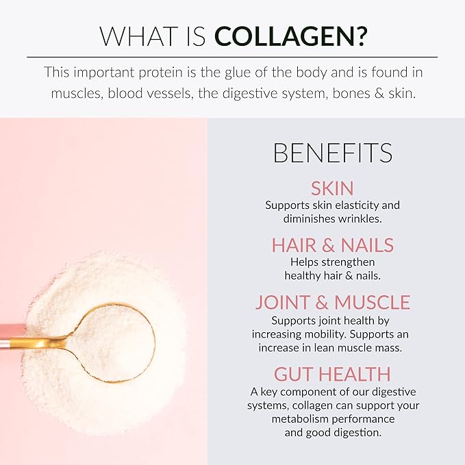 Alaya Multi Collagen Powder - Type I II III V X Hydrolyzed Collagen Peptides Protein Powder Supplement with MSM + GC (Raspberry Lemonade)