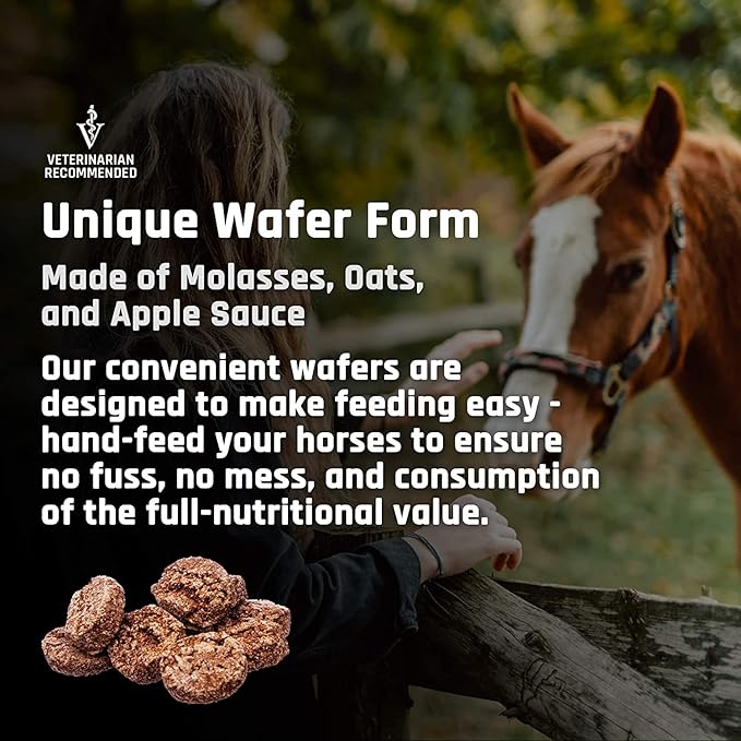 Majesty's Flex Wafers - Superior Horse/Equine Joint Support Supplement - Glucosamine MSM Chondroitin Yucca Vitamin C (Regular 2 Pack (120 Count Total))