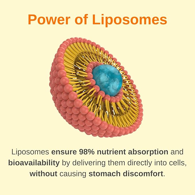Women's 50+ Health and Beauty Liposomal Liquid Multivitamin Bundle | Non-GMO | Sugar Free | Gluten Free | Liquid Collagen Booster | Hair Skin and Nails