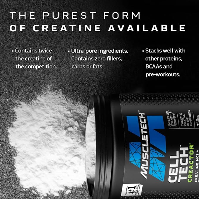 MuscleTech Cell-Tech Creactor - Creatine HCl Formula - Muscle Builder for Men &amp Women - Creatine HCl + Free-Acid Creatine Supplements - Fruit Punch Extreme 120 Servings