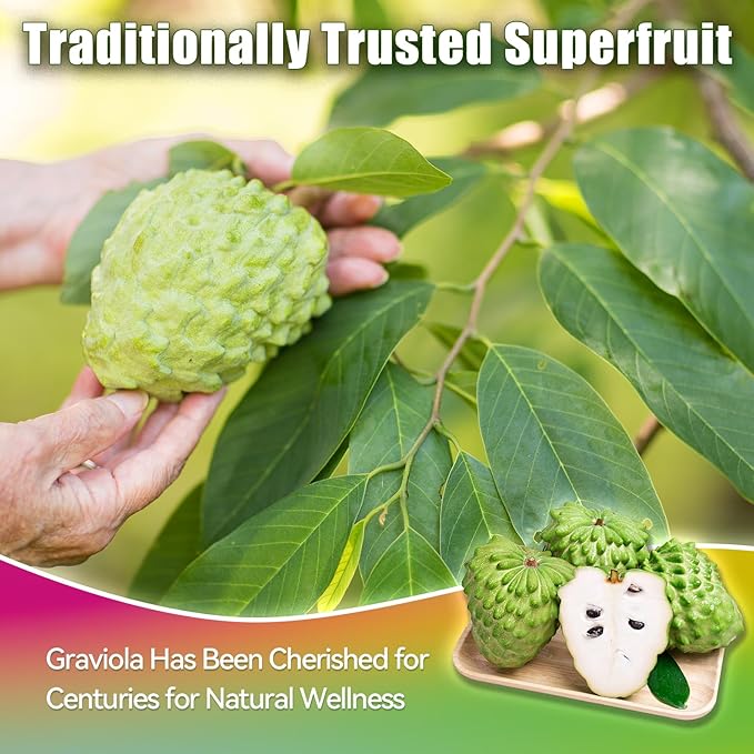 Vyxion Soursop Bitters Liquid Soursop Multivitamin Drops - 2000mg 10:1 Extract from Fruit &amp Leaf Vitamin B6 C D3 Graviola Liquid Drops | Vegan Non-GMO | 2 Fl Oz