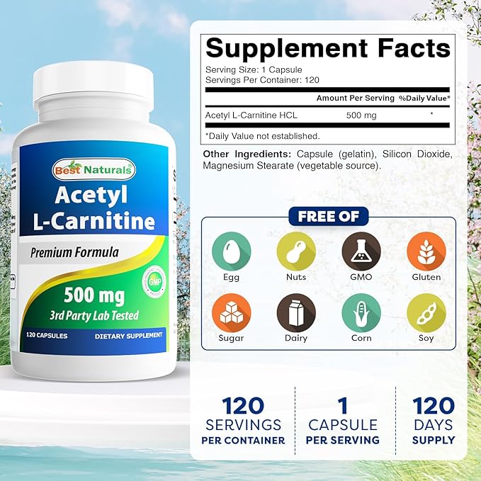 Best Naturals Acetyl L-Carnitine (ALCAR) 500mg 120 Capsules 120 Servings - Non-GMO and Gluten Free 1 Capsule per Serving (2 Pack)
