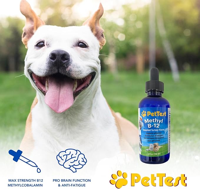 PetTest Methyl B12 Vitamin Liquid Drops 4fl oz (5000 MCG) Supplement with Methylcobalamin for Diabetic Pets Maximum Absorption to Increase Energy for Dogs and Cats