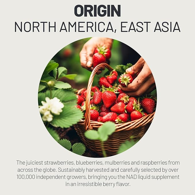 NAD Supplement 1000mg with Resveratrol Pure Organic Liquid Packets - Nicotinamide Riboside Supplements with PQQ - Liposomal NAD+ Berry Flavor Drink - Cellular Energy &amp Anti-Aging Support 30 Packs