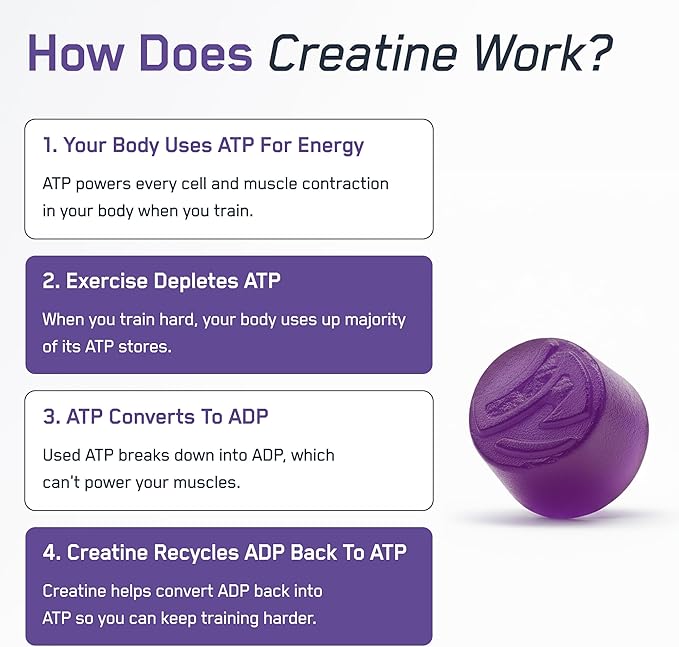 SteelFit Creapure Creatine Monohydrate Gummies for Men &amp Women Concord Grape - Gym Workout Nutritional Supplements for Muscle Gain Brain Health &amp Strength Building Dietary Supplement 120 Gu