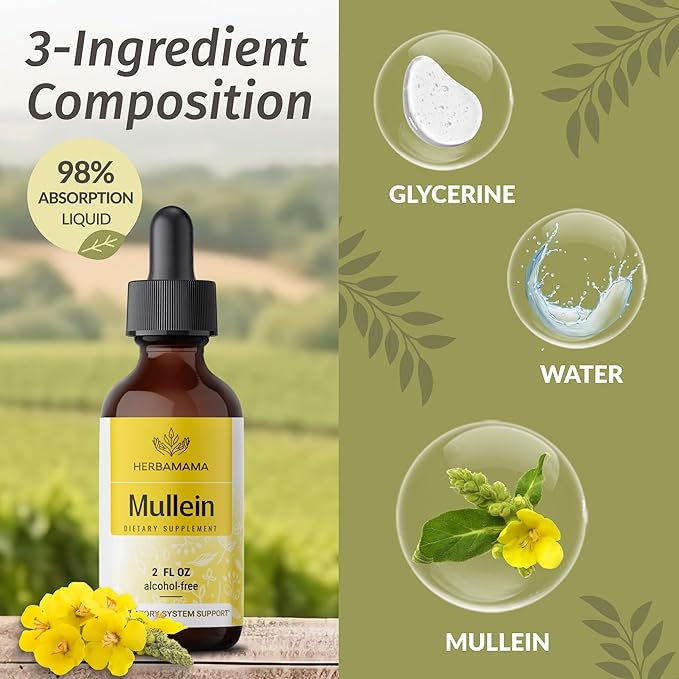 HERBAMAMA Liquid Drops Kit - Bundle of Turmeric Ginger Extract and Mullein Leaf Tincture 2 fl oz - Vegan Non-GMO Sugar &amp Alcohol-Free - 2 Pack