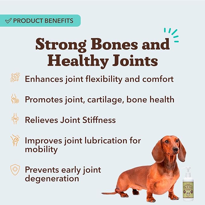 Natural Dog Company Liquid Glucosamine for Dogs Hip &amp Joint Oil Extra Strength Cartilage Joint Supplement for Dogs Helps Mobility Eases Occasional Stiffness Glucosamine Chondroitin 32 oz.