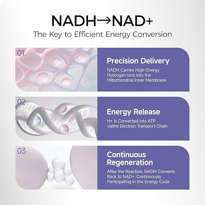 NADH 20mg Supplement 60 Vegetarian Tablets - Nicotinamide Adenine Dinucleotide Boosts NAD+ Levels for Cellular Energy Support &amp Active Aging Caffeine-Free Daily Fatigue Defense