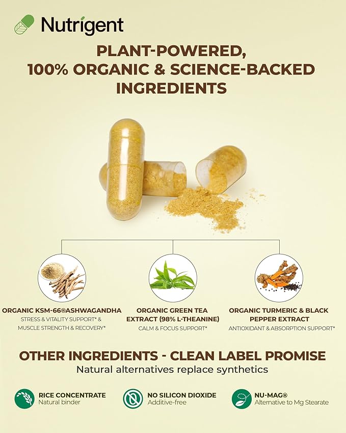 USDA Organic KSM-66 Ashwagandha 600mg with Organic L-Theanine Turmeric &amp Black Pepper Supports Calm Focus Relaxation &amp Overall Well-Being 60 Capsules