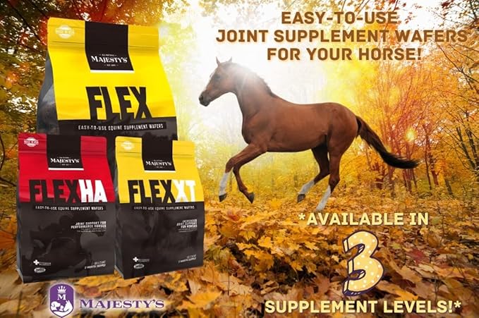 Majesty's Flex XT Wafers - Superior Horse / Equine Joint Support With Increased Supplement Levels - Glucosamine MSM Yucca Vitamin C - 60 Count (2 Month Supply)