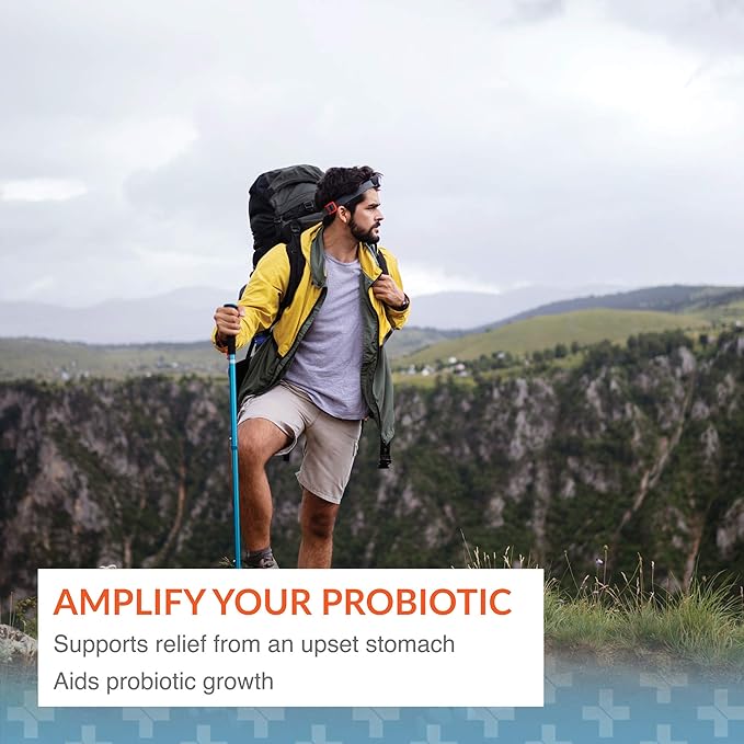 Arthur Andrew Medical Floraphage Prebiotic Formula and Probiotic Multiplier 30 Capsules