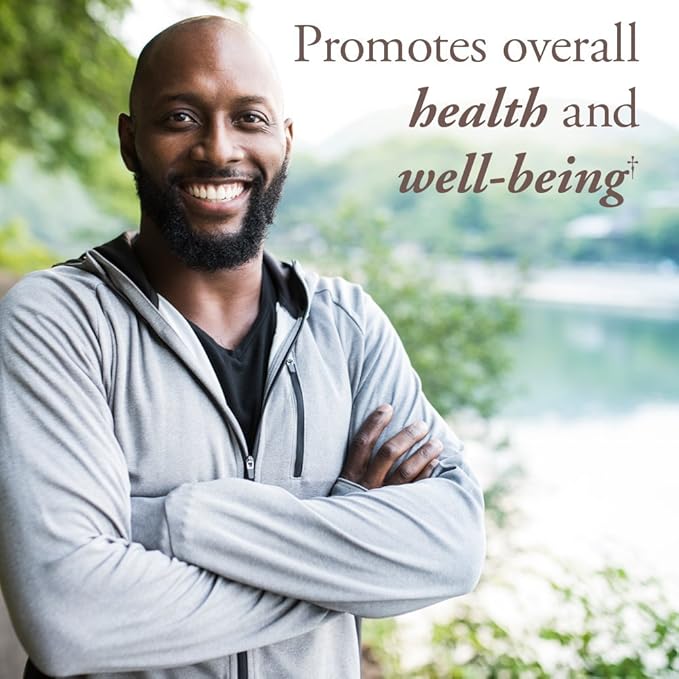 Garden of Life Probiotics &amp Organic Multivitamins for Men's Digestion Immunity &amp Over 40 Health - 216 Capsules &amp 120 Tablets