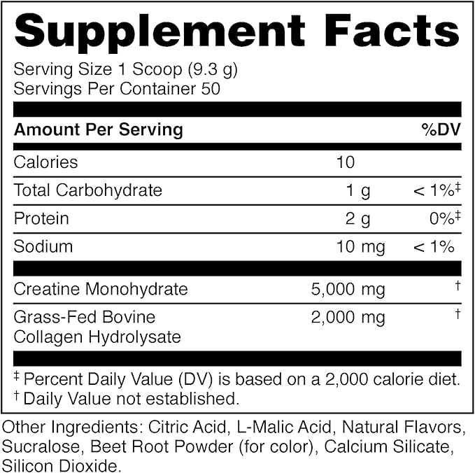 Bucked Up Creatine + Collagen for Women Essentials (50 Servings) - Fruit Punch