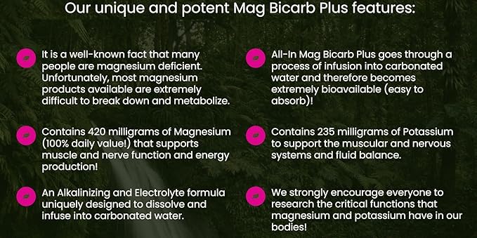All In Nutritionals Mag Bicarb-60 Servings Per Jar!