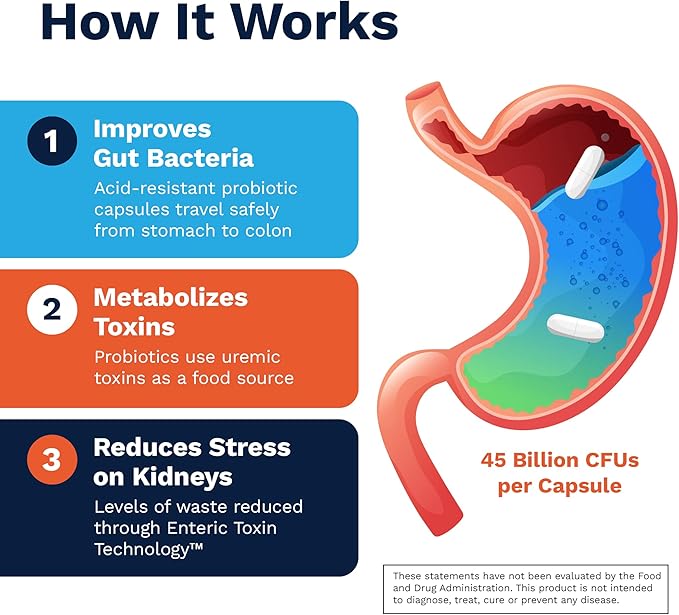 Renadyl Kidney Probiotic Supplement | Urea Creatinine &amp Uric Acid Support | 45 Billion CFUs | Clinically Tested Non-GMO &amp Made in USA 60 Capsules (1 Bottle 1 Month Supply)