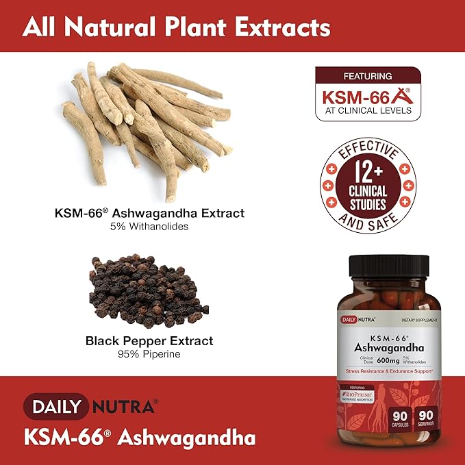 DailyNutra KSM 66 Ashwagandha (90 Capsules) and Mushroom Cacao Mix (16oz) Bundle for Relaxation and Focus