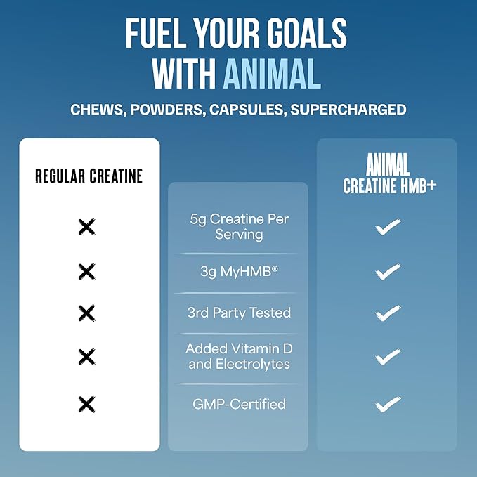 Animal Creatine HMB Powder – 3g myHMB + 5g Creatine with Electrolytes for Recovery &amp Daily Energy – Dragon Berry Flavor 30 Servings