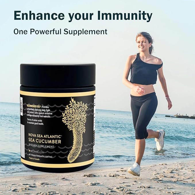 Sea Cucumber Supplement Wild Caught Sea Cucumber Capsules with Fucosylated Chondroitin Vitamins Mineral — Natural Antioxidant Supplement for Elderly Adult Child (Pack of 6)