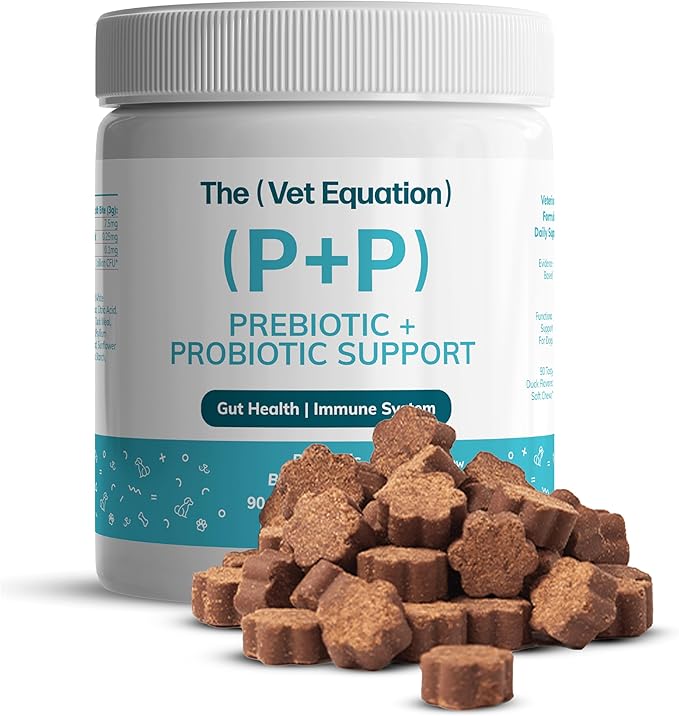 Prebiotic &amp Probiotic for Dogs – Digestive &amp Gut Health Chews – Natural Duck Flavor 90 Count – with Bacillus Subtilis Vitamin B12 &amp Folic Acid – Supports Immune &amp Digestive Health