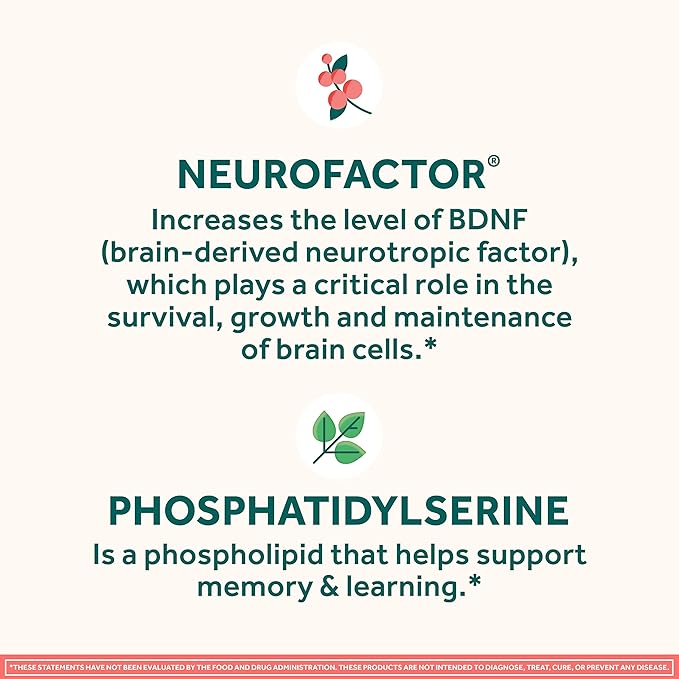 NEURIVA Original Decaffeinated Clinically Tested Nootropic Brain Supplement for MemoryFocus &amp ConcentrationNeuroFactor &amp Phosphatidylserine28ct Capsules(Pack of 2)