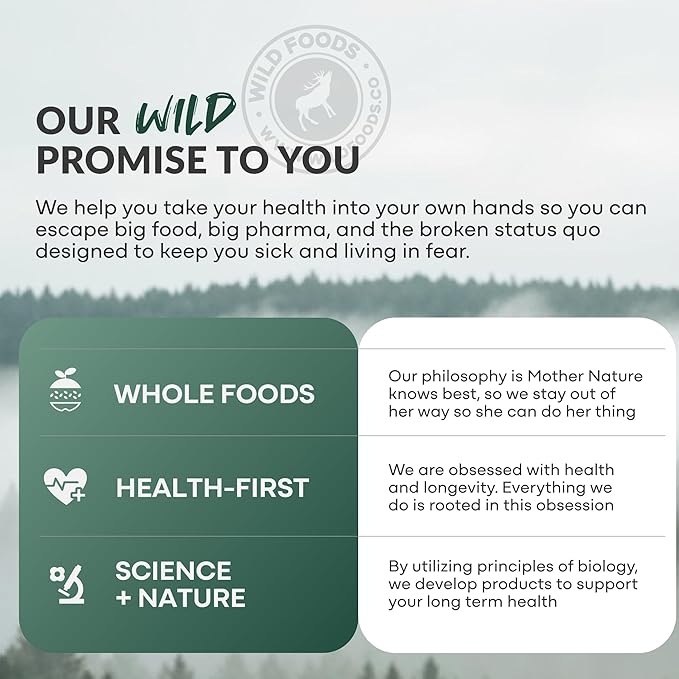 Wild Foods Creatine + Electrolytes Powder Lemon &amp Lime (8 oz 30 Servings) - 2.5g Creatine + Magnesium Malate Pink Salt Potassium - Whole-Food Sourced Hydration &amp Support - No Added Sugar