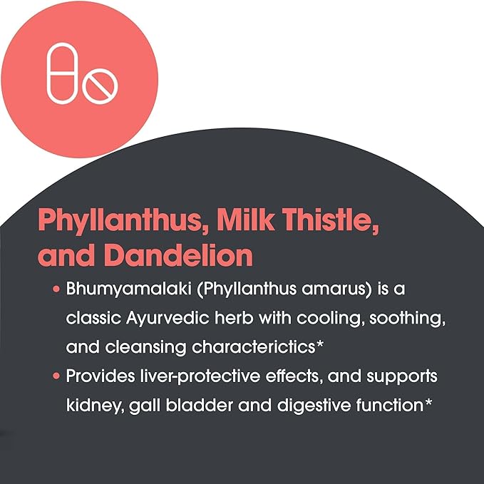 Allergy Research Group Milk Thistle Plus Supplement - Liver Health Support Milk Thistle Dandelion Detox Cleanse Vegetarian Capsules - 120 Count