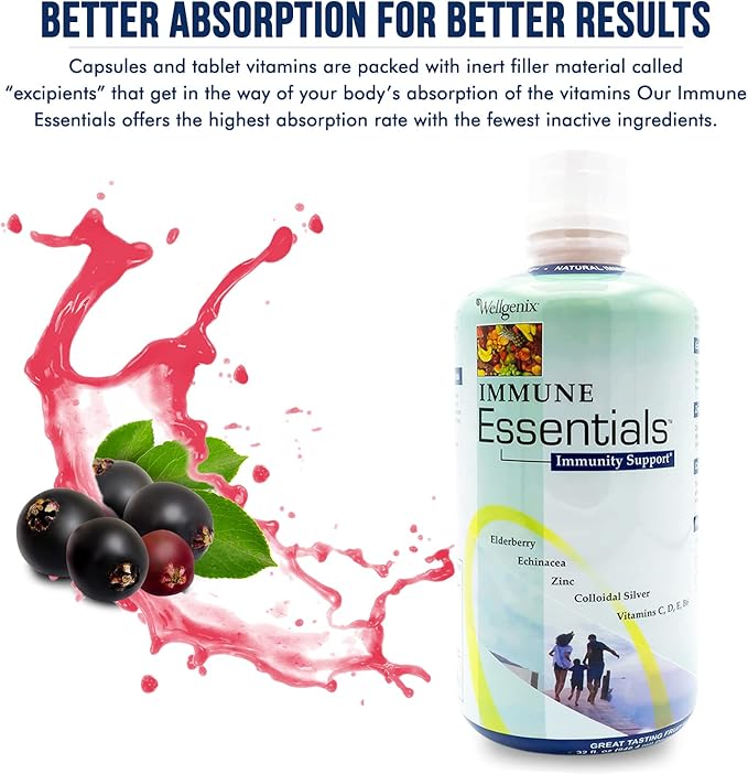 Wellgenix Immune Essentials Liquid Dietary Supplement – Elderberry Echinacea Zinc &amp Vitamin C – Fruit Flavor – 32 fl oz (Pack of 2)