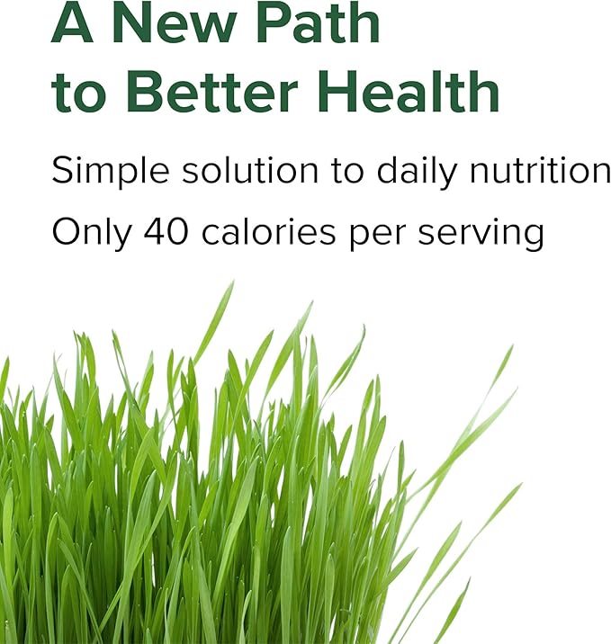 Vibrant Health Green Vibrance Vegan Superfood Pills 240 Count (Pack of 1)