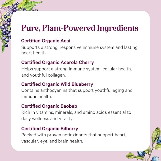 PURE SYNERGY Berry Power | Organic Berry and Fruit Powder | Antioxidant Supplement with Organic Acai Acerola and Wild Blueberry | for Healthy Aging Immune and Skin Support (5.3 oz Powder)