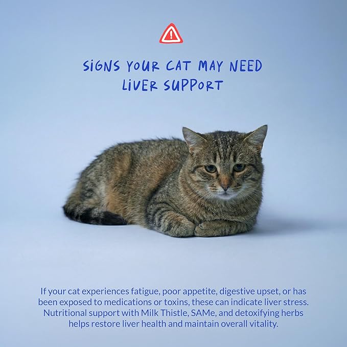 Milk Thistle for Cats - Liver and Kidney Support - Hepatic Support with EPA &amp DHA - Detox - Liver Supplement with Choline and L-Arginine (Powder for Cats)