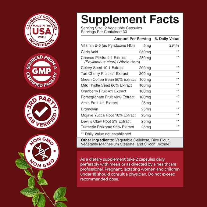Bundle of Green Coffee Bean Extract for Uric Acid Cleanse &amp Detox with Turmeric Tart Cherry &amp Celery Seed and Herbal Thyroid Support Complex with L Tyrosine Bladderwrack Selenium &amp Pure