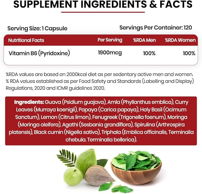 Himalayan Organics Organics Plant-Based Vitamin B6 | Supports Immunity Brain Health (120 Capsules)