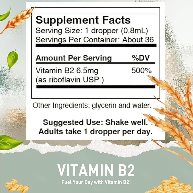 HoneyCombs Riboflavin Vitamin B2 Liquid Drops 500 Percent DV b2 Made in USA Alcohol Free B2 Vitamins Supplement Fast Absorbing Riboflavin Alternative to Capsules for Adult Daily Use