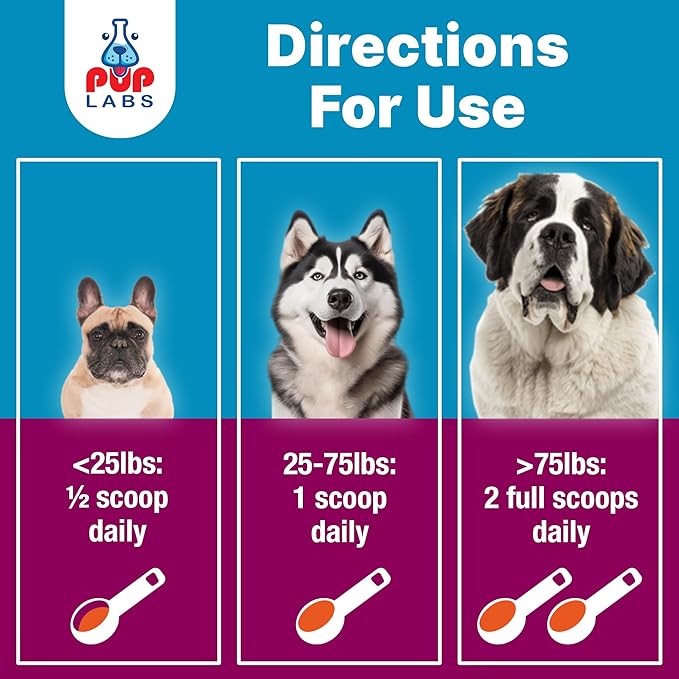 K9 Belly Bliss All-Natural Gut Health for Dogs Vet Approved Prebiotic for Dogs for Daily Digestive Support and Dog Constipation Relief Easy to Use Topper for Dry and Wet Food 30 Scoops.