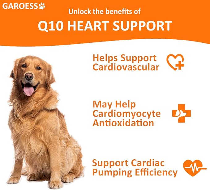 CoQ10 Heart Chew for Dogs Support Dogs Heart Health Cognitive &amp Energy CoQ10 Chews for Cardiovascular &amp Gum Health &amp antioxidant Protection Bacon Flavor 240 Count (2 Packs/Trust it)
