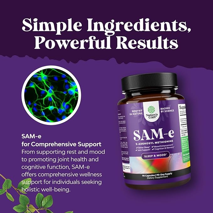 Bundle of Nootropic Brain Supplement - Mental Health &amp Clarity with VIT A B6 Riboflavin Niacin Thiamin Folate and Pure SAM E Supplement 150mg Per Serving Natural S-adenosylmethionine for Mood Bala