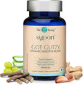 Gut Health Supplements for Men and Women Got Gutzy Contains Turmeric Ginger Licorice Aloe Vera and Digestive Enzymes for Digestive Health Acidity Constipation Nausea 60 Capsules.