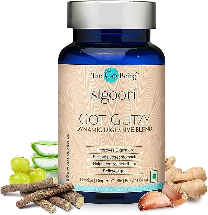 Gut Health Supplements for Men and Women Got Gutzy Contains Turmeric Ginger Licorice Aloe Vera and Digestive Enzymes for Digestive Health Acidity Constipation Nausea 60 Capsules.